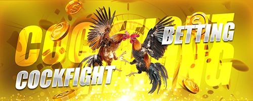 Cockfight